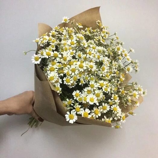 Хризантема белая ромашка букет. Букет из мелких ромашек. Матрикария и хризантема букет. Маленький букет из ромашек. Букет ромашек.