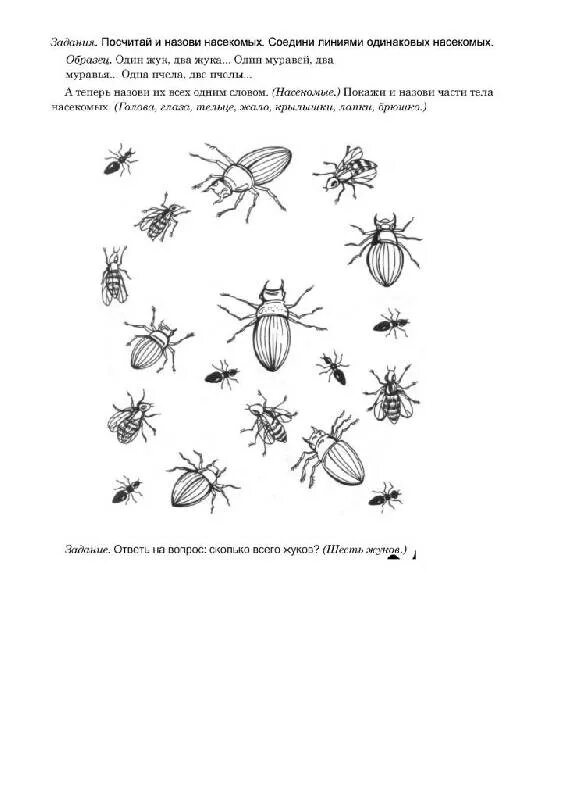 Ознакомление с окружающим миром тема насекомые. Лексическая тема насекомые в подготовительной логопедической группе. Насекомые логопедические задания для дошкольников. Тема насекомые задания логопеда для дошкольников. Насекомые задания для детей 4-5 лет.