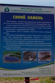Где находится синь