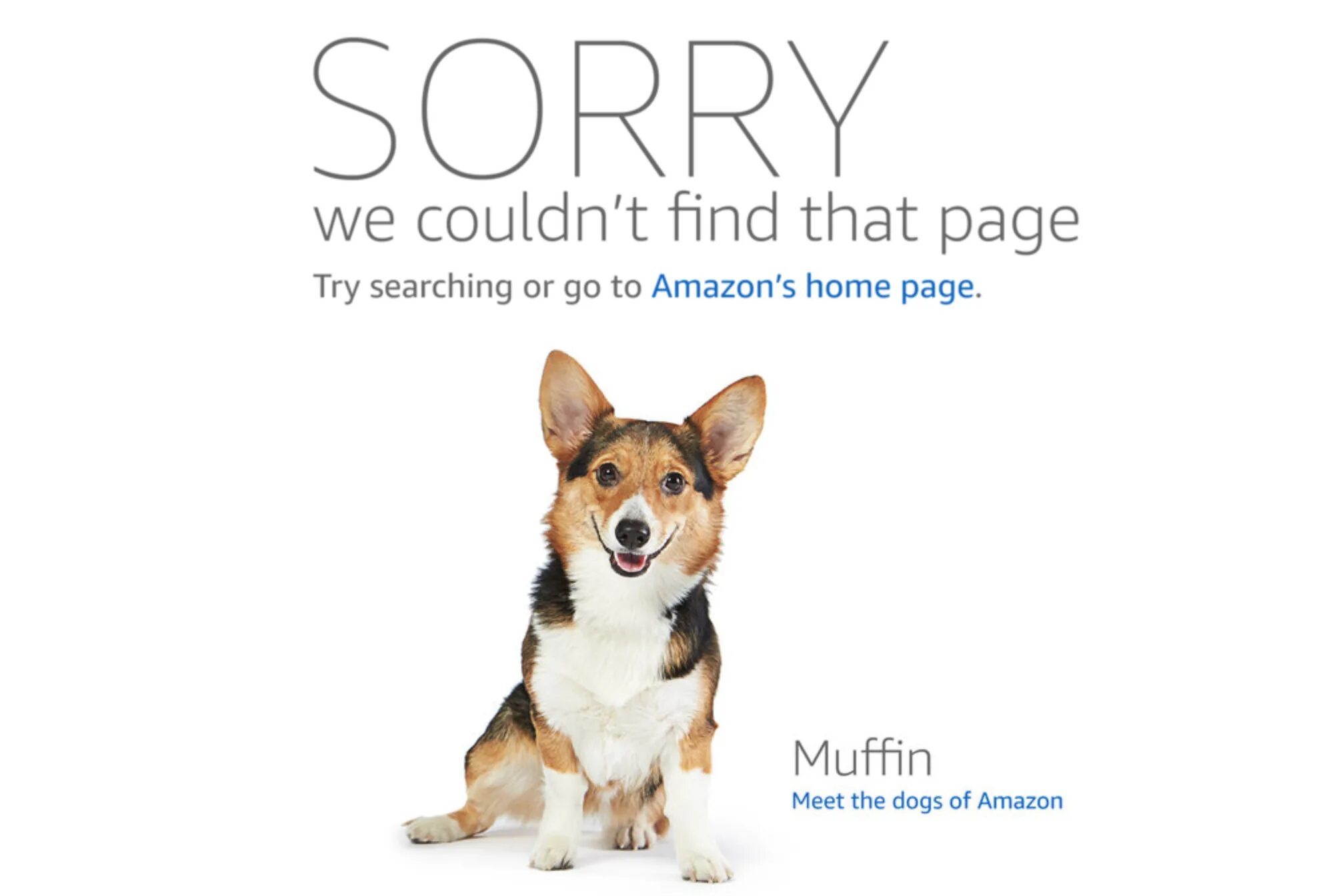 Amazon error. Amazon one Page. С собакой на работу Амазон. Perfect 404. Html Ricardo's Page my Dog.