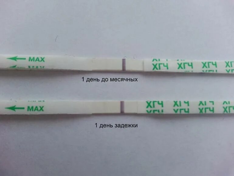 Что делать если нет месячных 2 месяца. Задержка месячных. задержка месячных 3 дня. задержка месячных живот. при задержке месячных.