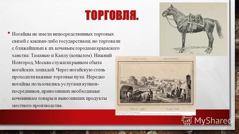 Занятия населения ногайского ханства. Кочевья ногайцев. Основное традиционное занятие ногайцев. Жители ногайской орды. Ногайская орда основные занятия населения.