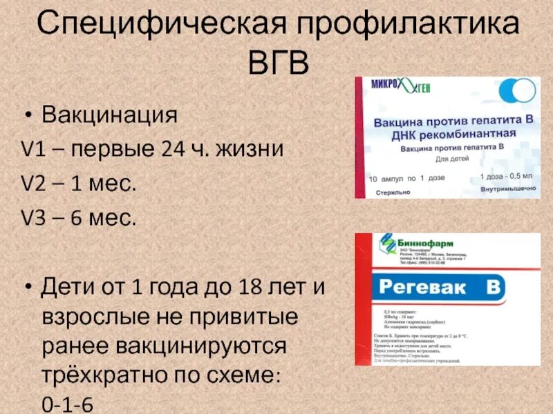 Вгв 1