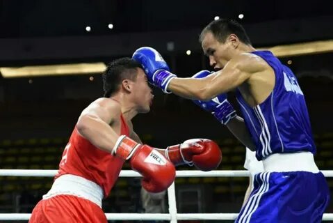 Бокс чемпионов сегодня