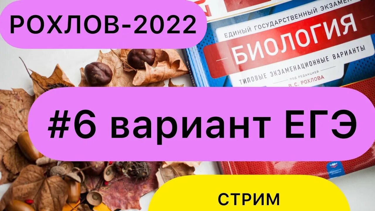 Разбор рохлова 1 вариант