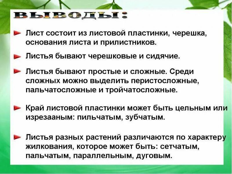 Лабораторная работа строение листьев. Строение листа вывод. лабораторная работа строение листа. строение листа 6 класс лабораторная работа вывод. лабораторная внешнее строение листа.