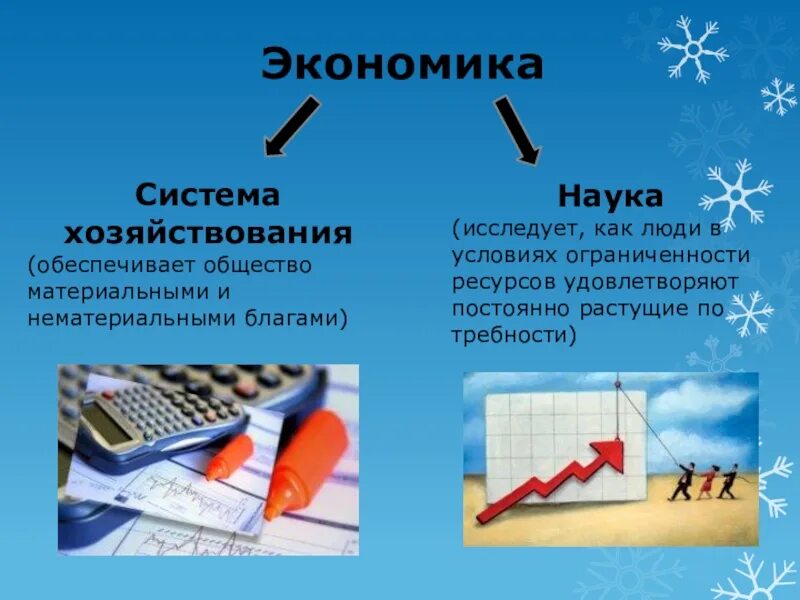 Виды экономики как науки. Экономика как наука. Экономика система хозяйствования. Экономика как система хозяйствования. Экономика как хозяйство.