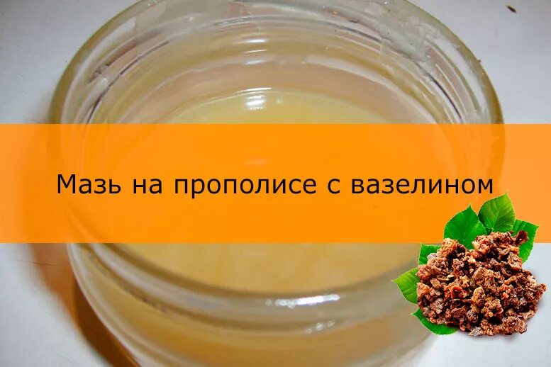 Масло прополис в домашних условиях