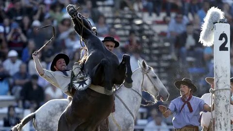 Riding competition