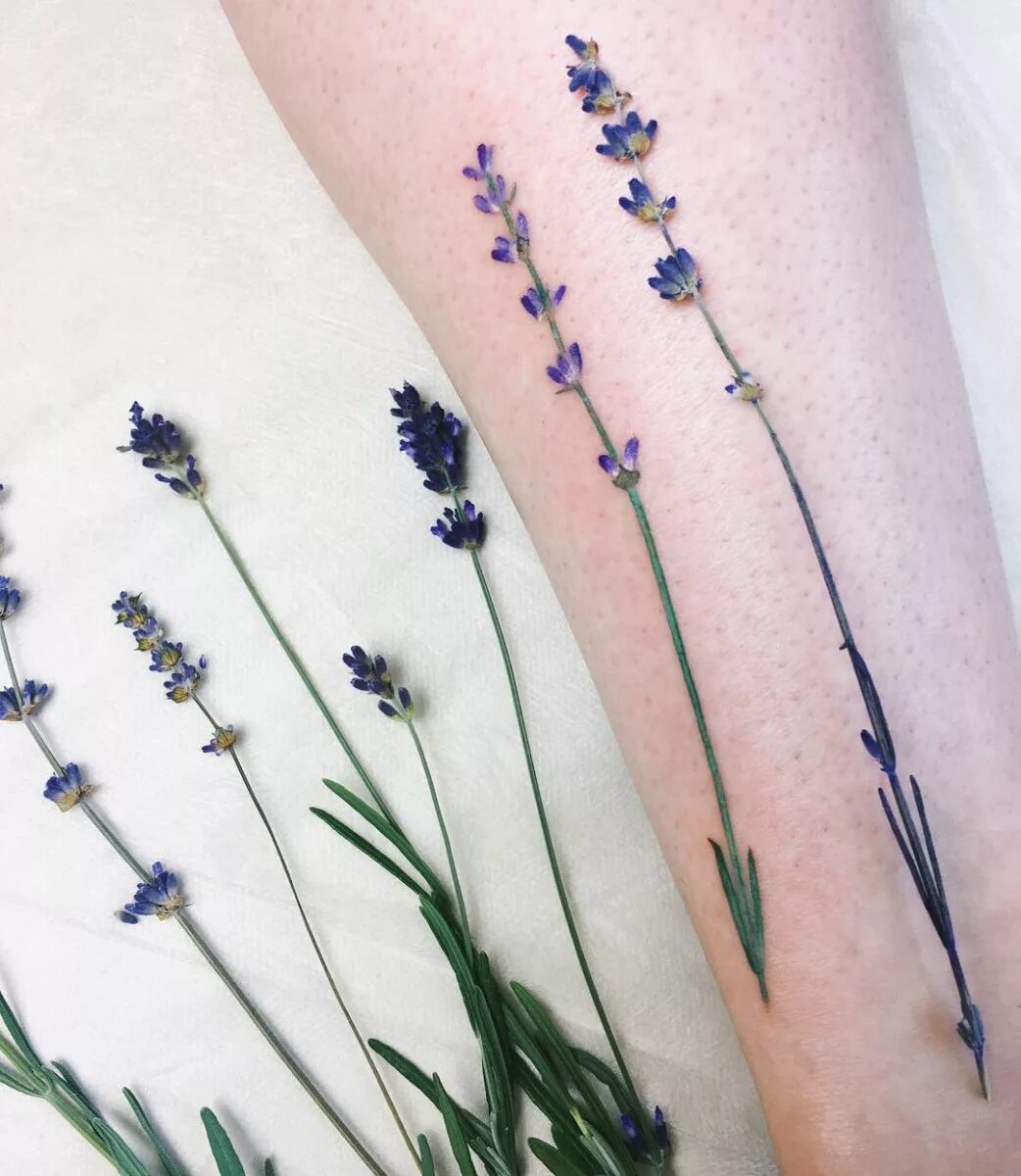 что означают веточки. веточка оливы тату. маленькие тату лаванда. тату ветка. что означают веточки.