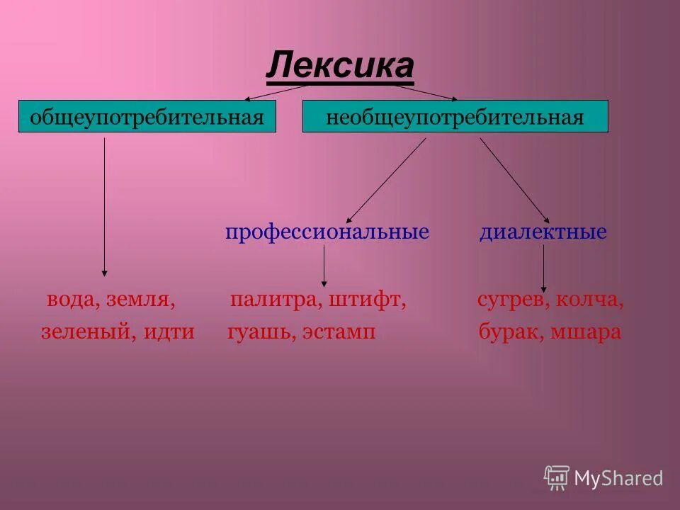 Теория лексики