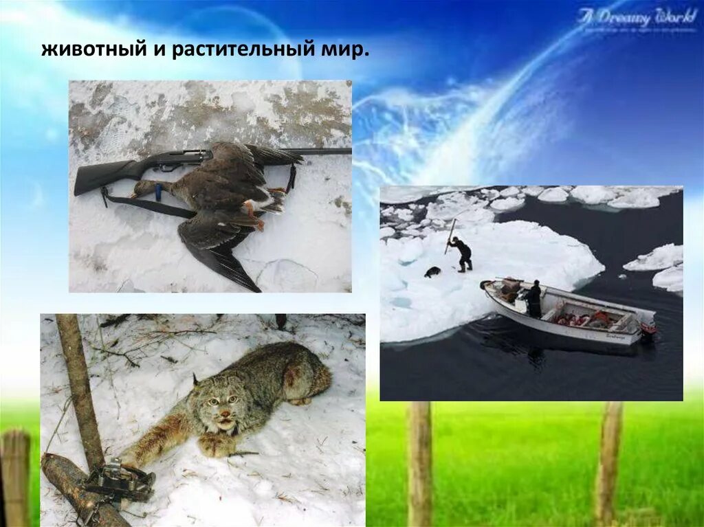 Как человек менял природу. Как человек изменил природу 5 класс биология. как человек изменял природу 5 класс биология. картинки по биологии на тему как человек изменял природу. доклад по биологии 5 класс как человек изменял природу.