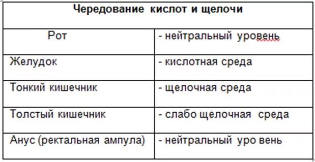 Среда пищевода. Какая среда в тонком кишечнике. Какая среда в желудке. Среда тонкого кишечника кислая или щелочная.