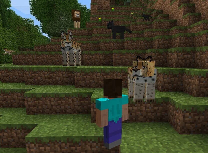 Cats mod minecraft. Мод на мкпе большие кошки. енот mo creatures. мод mo creatures cats and dogs 1.12. queen cat мод на майнкрафт.