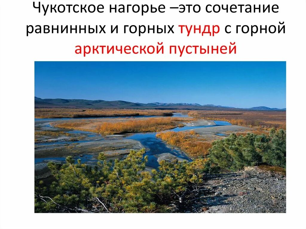 Природные уникумы дальнего востока. Природные Уникумы дальнего Востока 8 класс. Природный комплекс дальнего Востока Уникумы. Природные Уникумы дальнего Востока сообщение.