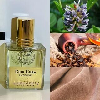 Cuir cuba nicolai