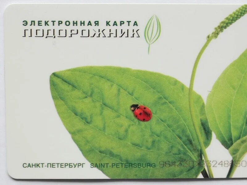 Как пополнить подорожник в санкт петербурге. Карта подорожник.