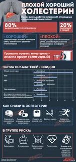 Холестерин это общий анализ