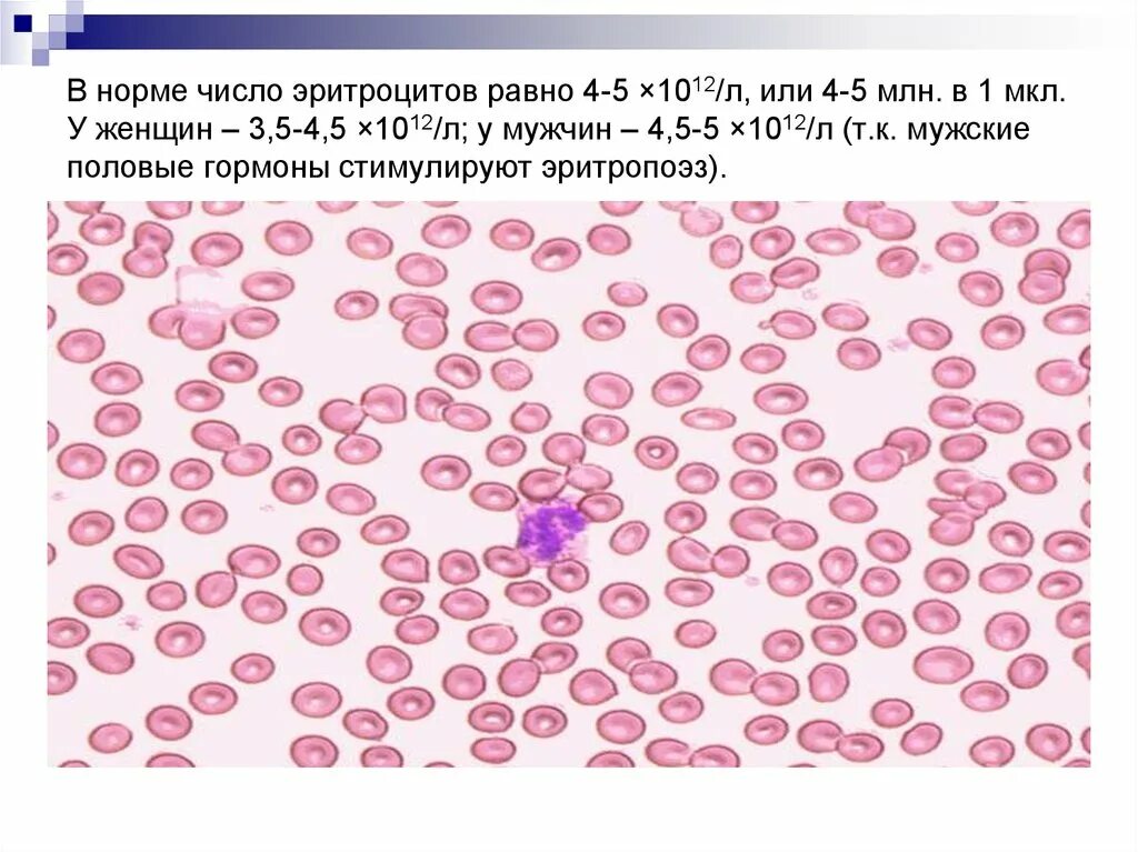 Повышенный эритроциты у ребенка 10 лет. Млн мкл эритроциты. Эритроциты норма. Эритроциты норма в мкл. Повышенное число эритроцитов.