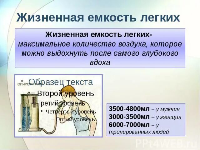 Наибольшая жизненная емкость. Жизненная ёмкость лёгких. Жизненная емкость легких количество воздуха которое можно. Жизненная ёмкость лёгких у тренированных людей. Профилактика жизненной емкости легких.