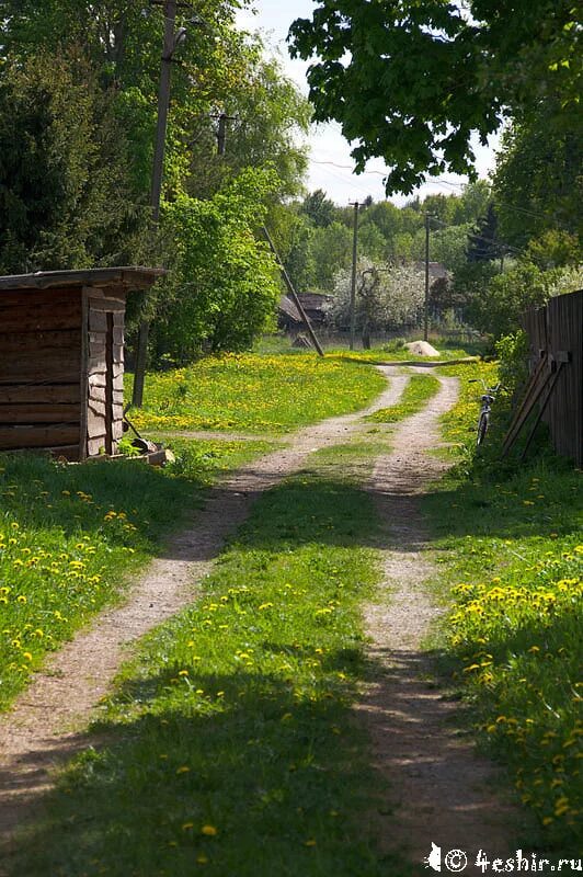 Улица в деревне весной. Вайб лето в деревне. Деревенская улица. Деревня летом. Деревенская улочка.