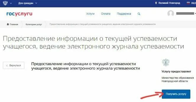 Информация о текущей успеваемости госуслуги. Госуслуги электронный дневник. Госуслуги для обучающихся. Дневник в госуслугах. Дневник электронный госуслуги воронежская область