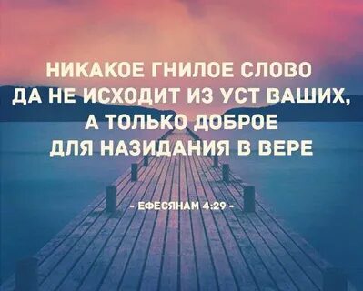 Гнила текст