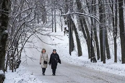 Синоптики о январе 2024
