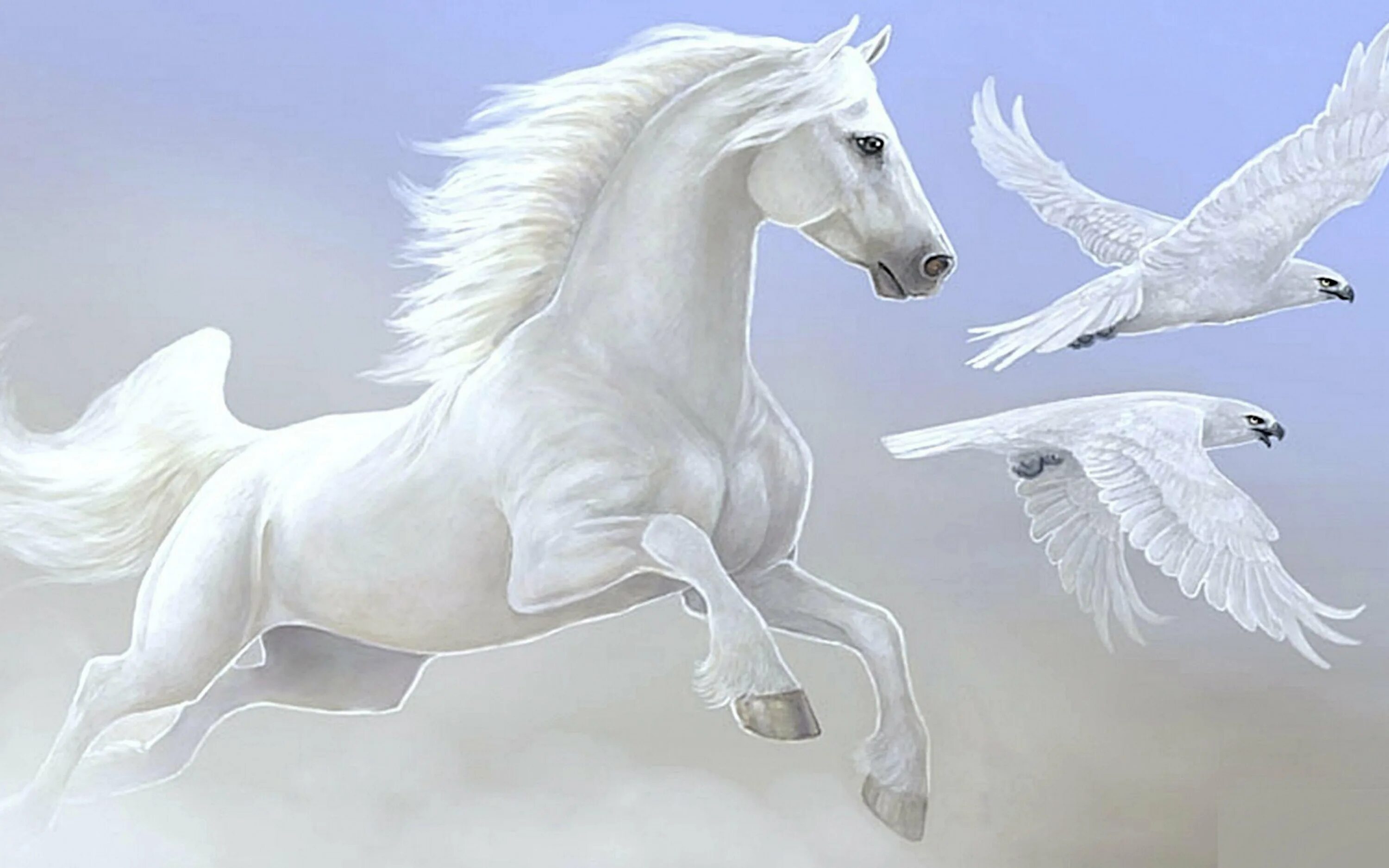 Белые кони кадышевой. Белый конь. Красивая белая лошадь. Белая лошадь с крыльями. Крылатый конь.