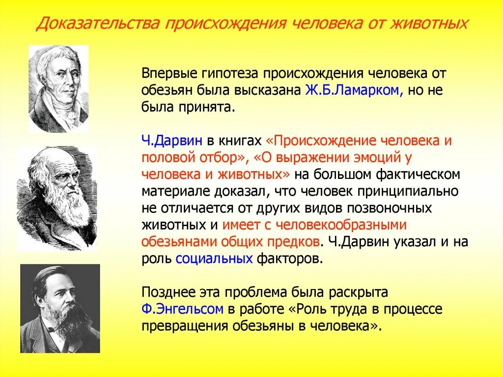 Гипотезы доказанные учеными. Теории происхождения человека. Доказательства происхождения человека от животных. Научная гипотеза происхождения человека. Доказательства происхождения человека от обезьяны.