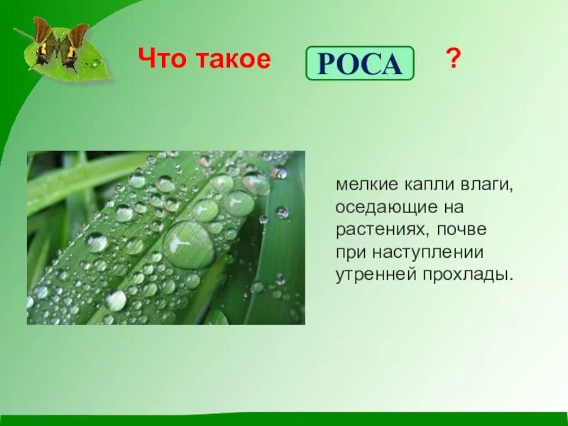 Роса написание. Что такое роса для детей. Как образуется роса на траве. Роса это 3 класс. Роса презентация.