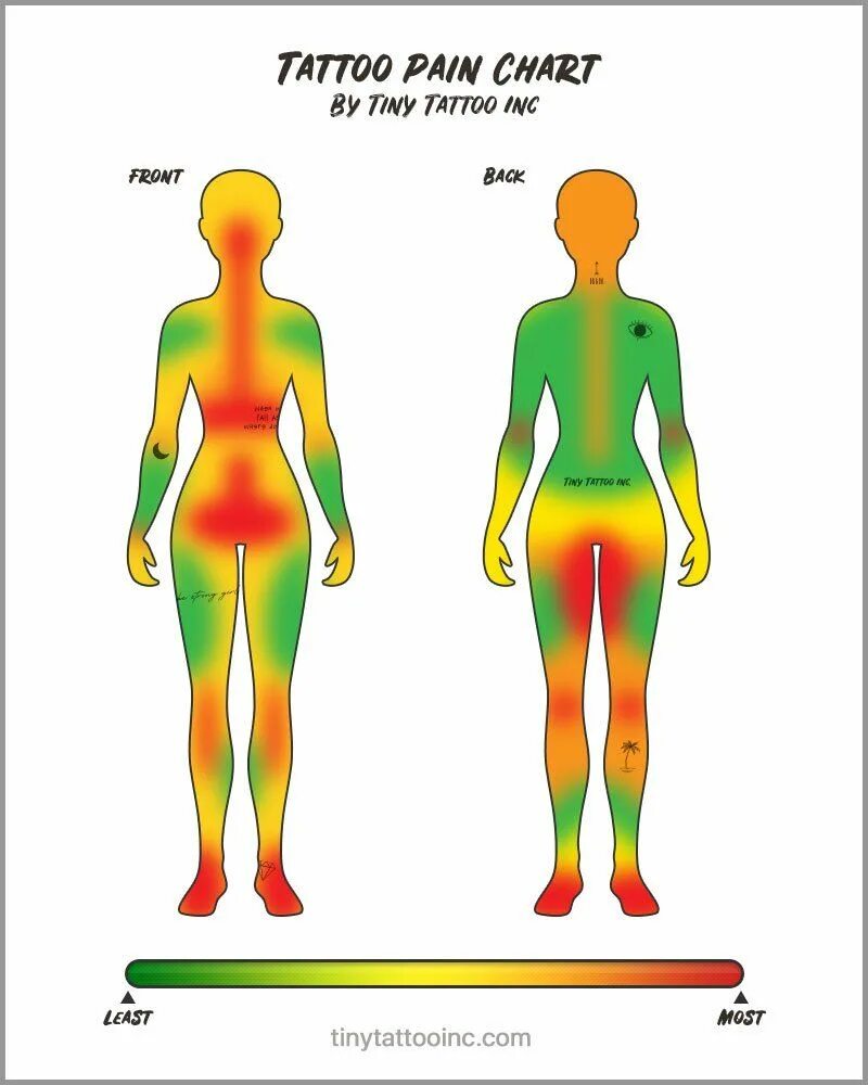 Насколько больно делать. Болезненные места для татуировок. Тату боль. Карта боли тату. Болезненные места для татуировок для девушек.