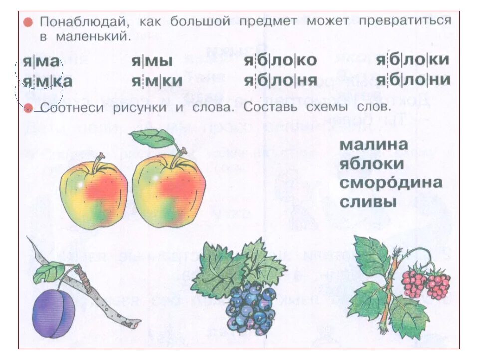 Схема слова яблоко. Яблоко схема 1 класс. Яблоко звуковая схема. Схема слова яблоня.