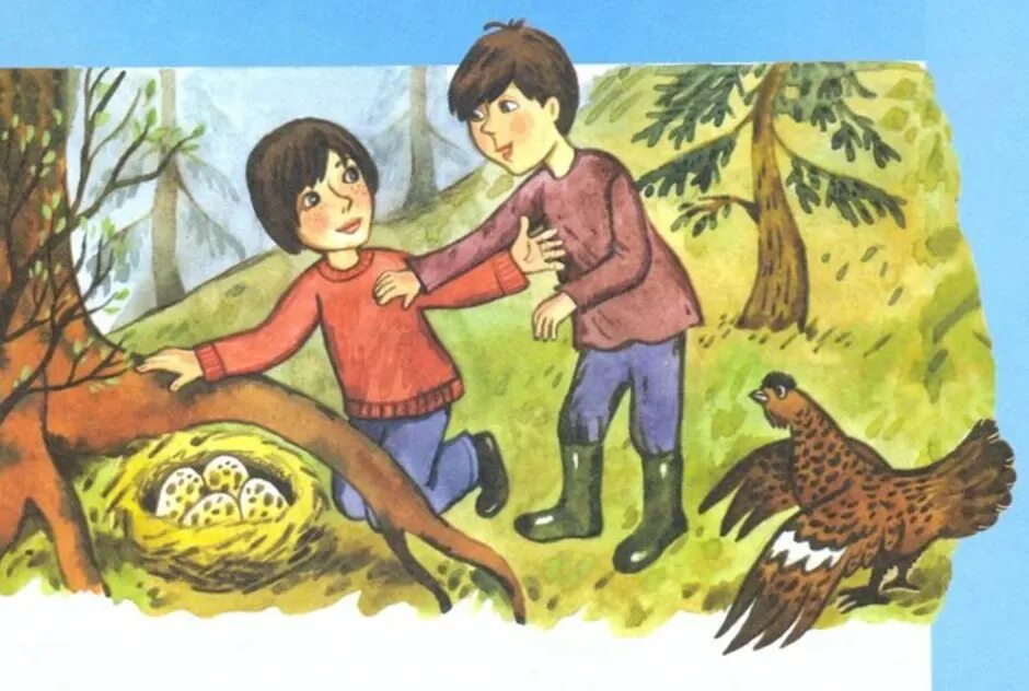 Иллюстрация к рассказу 3 класс. Капалуха астафьев. астафьев виктор петрович капалуха. иллюстрация к рассказу капалуха астафьев. драгунский капалуха.