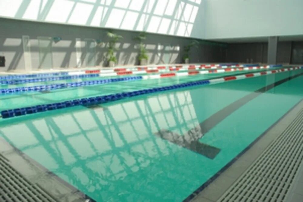 Бассейн олимп сургут. Бассейн дельфин город берёзовский. Алатырь бассейн. Алатырь белореченск бассейн. Фск алатырь.