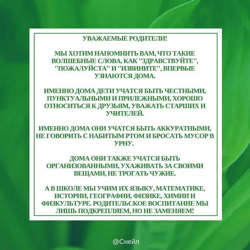 Темы сочинений по рассказу кусака. Краткий пересказ кусака. Уважаемые родители школа учит. О чем хотел сказать автор. Неловкие истории.