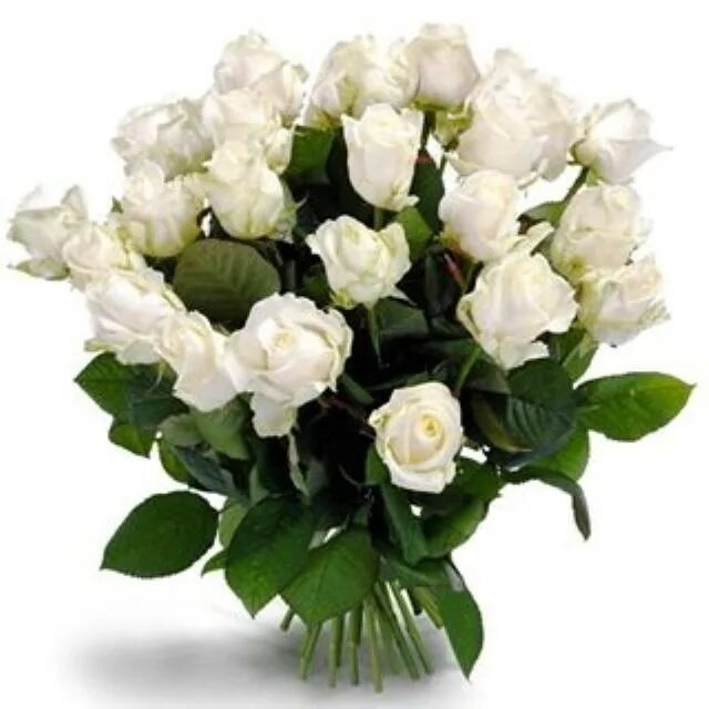 Мужчина дарит белые розы. Букет белых роз. Букет цветов в руках. Парень с букетом цветов. Букет для мужчины.