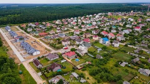 Зарица