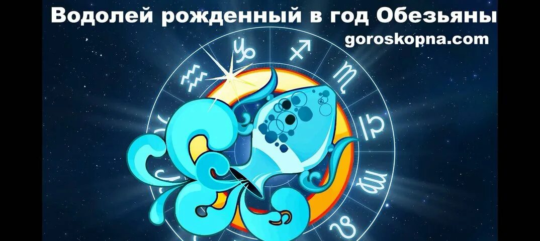 Бесплатный гороскоп на январь водолей. Год обезьяны водолей. водолей рожденный в году. водолей обезьяна женщина. гороскоп на май водолей.
