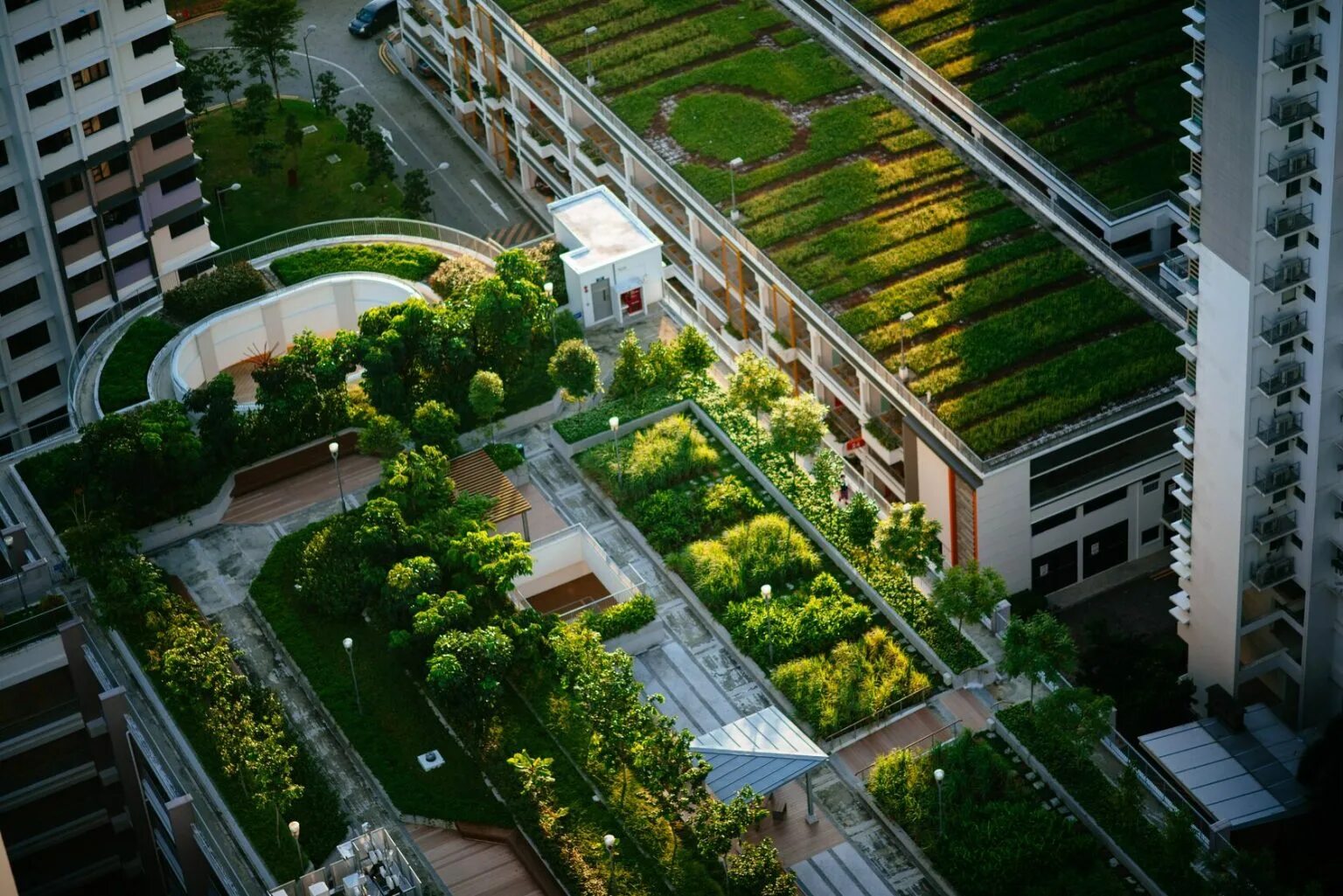 Зеленая крыша читать. Эксплуатируемая плоская кровля Green Roof. Сад на крыше Ванкувер Кайзер центр. Сити фермерство в Сингапуре. Green Roof стилобат.