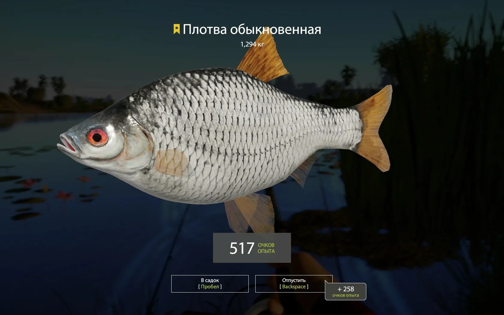 Амур троф рр4. Уклейка рр4. Трофейная уклейка. Уклейка троф рр4. Троф уклейка рр4.
