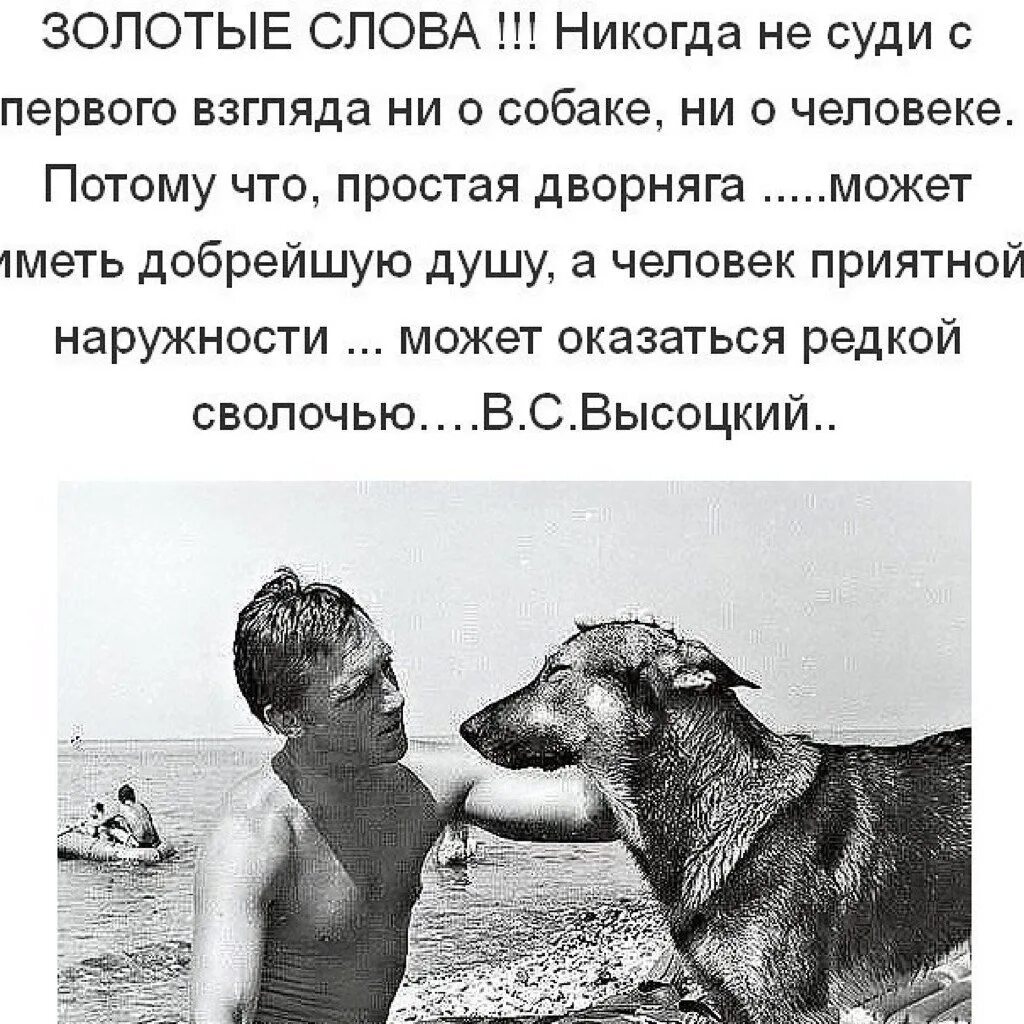 Самый лучший и преданный друг. Цитаты про собак. собака и человек цитаты. собака друг цитаты. высказывания о собаках и людях.