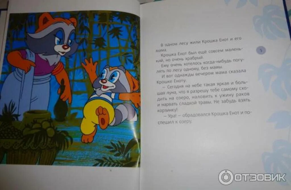 Муур крошка енот книга. Муур крошка енот. Книга крошка енот 1992. Крошка енот книга Долотцева. Читаем сказку крошка енот