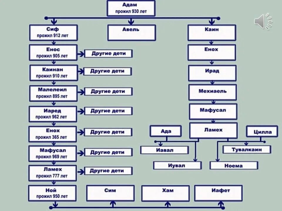 Первые в роду продолжение. Родословная Адама Ветхий Завет. Родословная от Адама до Иисуса. Родословная Адама схема. Ветхий Завет родословная от Адама.