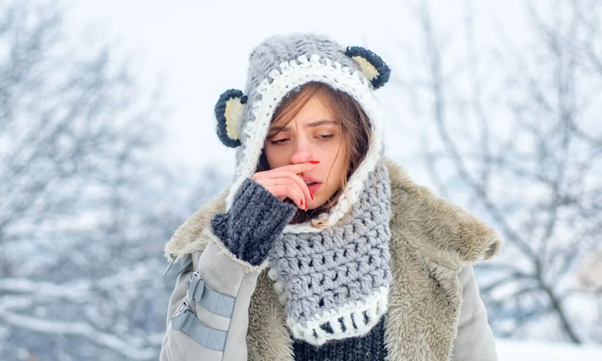 В тепле холодный нос почему. В тепле холодный нос почему. В тепле холодный нос почему. Мокрый и холодный нос у кошки. Чихает зимой.