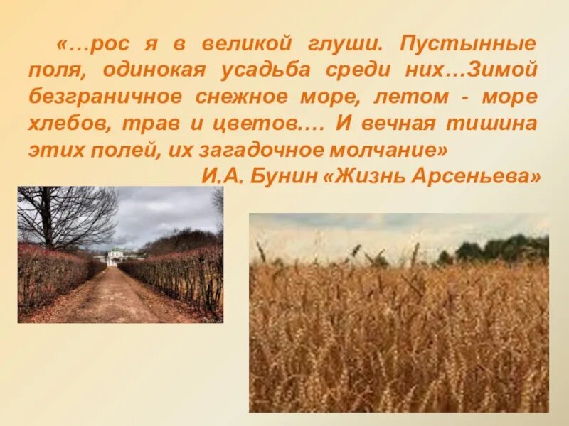 Стало пустынно поля засеяны незаслуженная обида. Бунин в степи. В степи Бунин стих. Стихи Бунина про степь. В крымских степях Бунин.