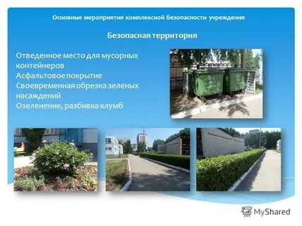 Озеленение территории дошкольного образования проводится из расчета