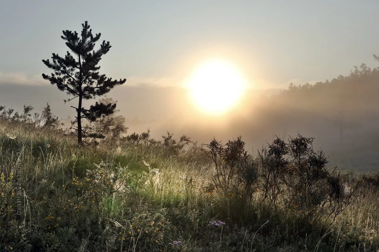 тишина в хакасии. тундростепь хакасия. хакасия зимой. горный хребет оглахты. камни хакасия менгиры.