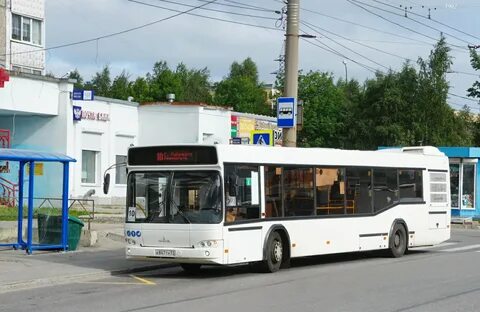 105 автобус мурманск