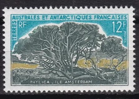 1969 12